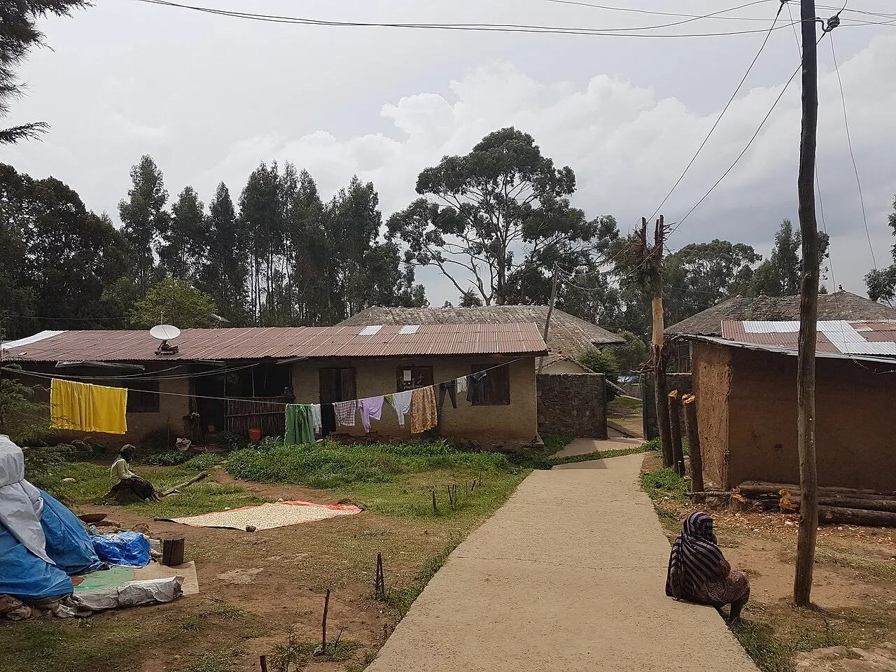 Casas baixas de barro com telhado de chapa e eucaliptos altos no monte Entoto, com roupa estendida num varal, grãos secando sobre uma lona no chão e um caminho de concreto descendo entre os quintais.