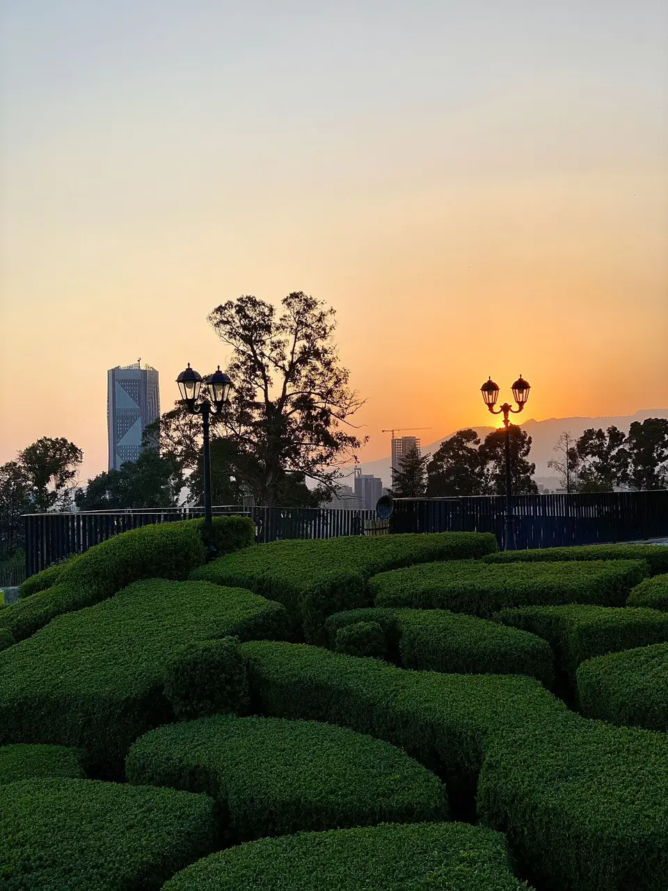 Jardim do Unity Park com sebes arredondadas, postes de luz e torres da cidade ao pôr do sol.