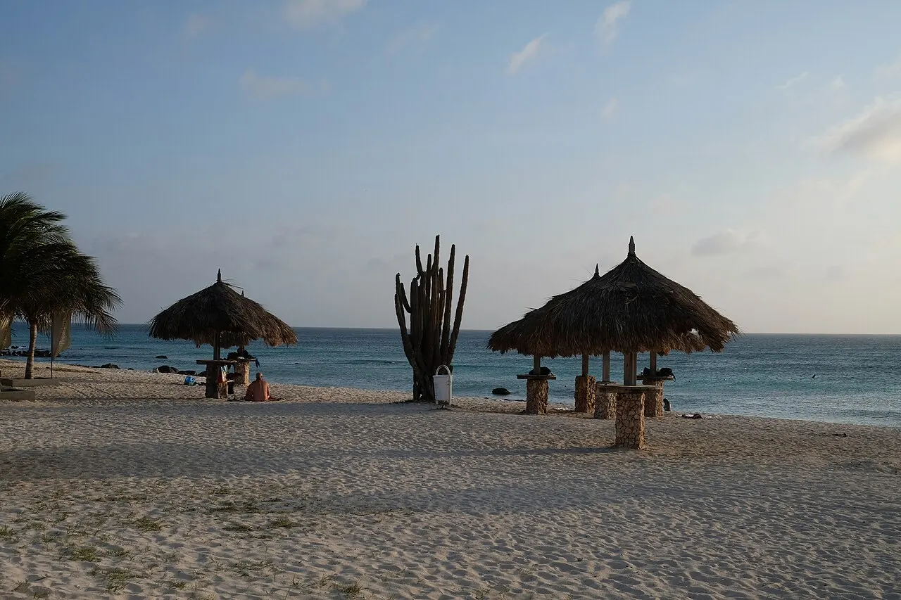 A areia de Arashi Beach com quiosques de cobertura de palha, um cacto alto e o mar calmo atrás, numa tarde de céu claro.