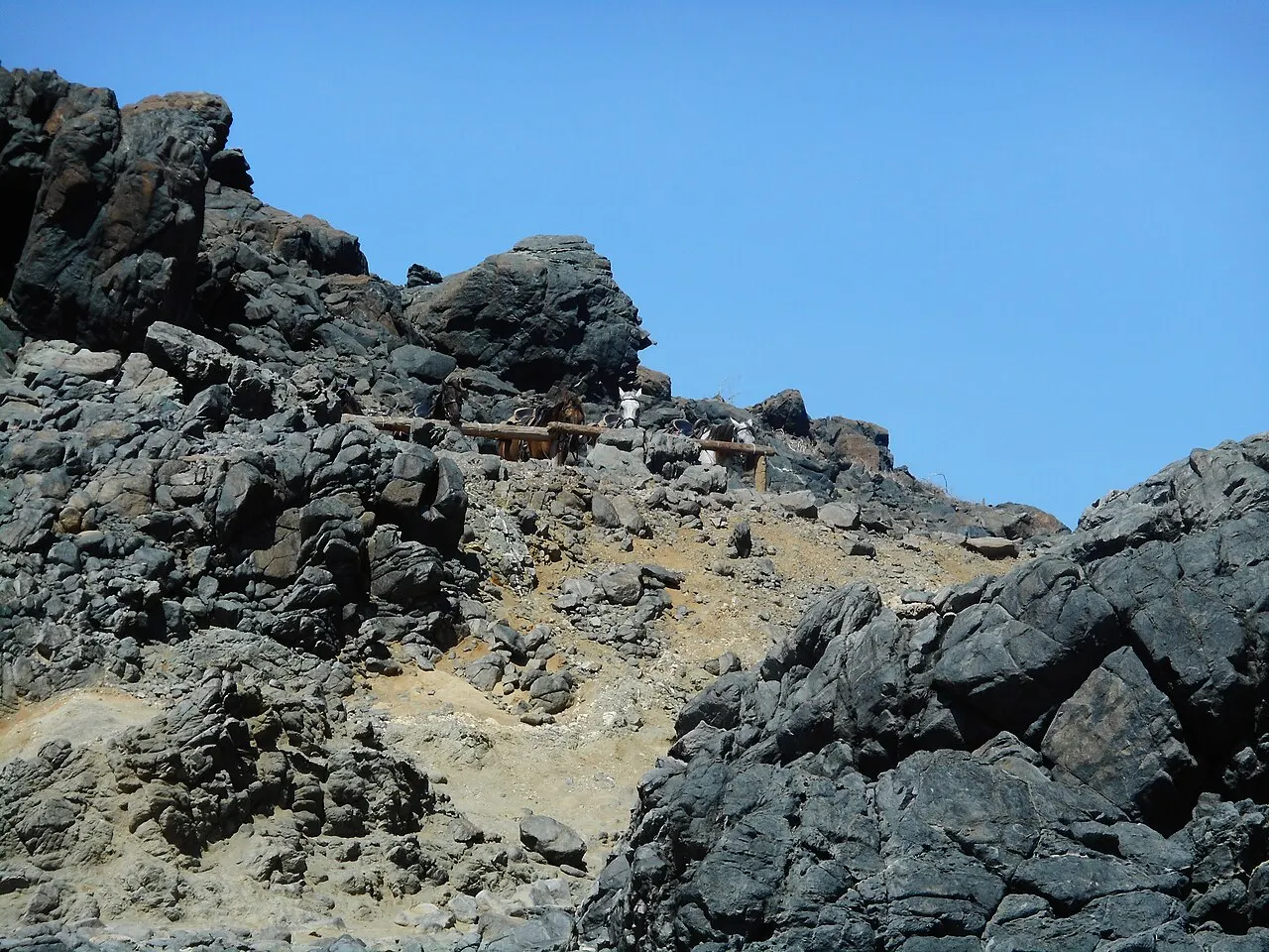 Rochedos vulcânicos escuros e ásperos junto a Conchi, com uma trilha entre as pedras e animais atrás de uma cerca de madeira, sob céu azul.