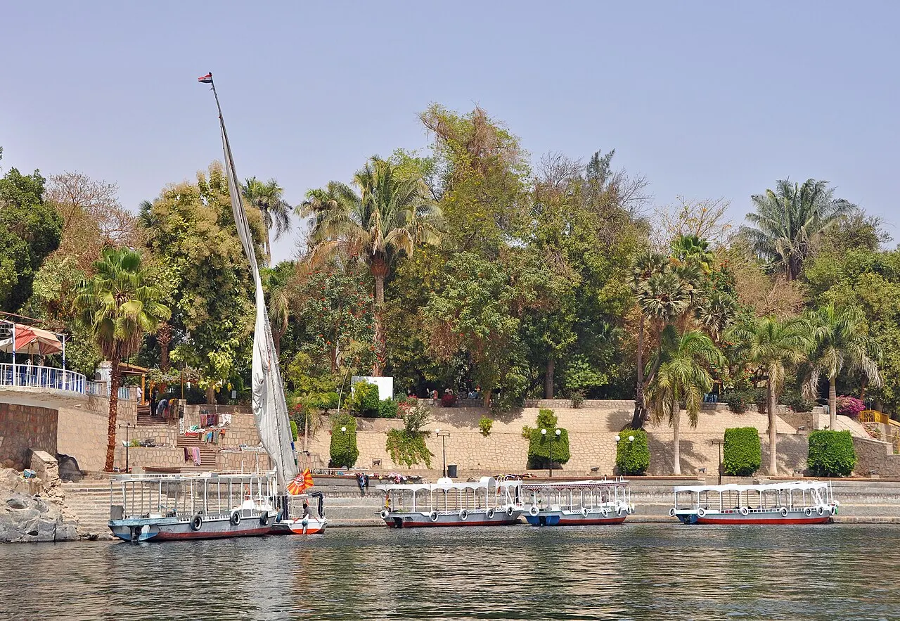 La orilla de la isla cubierta de palmeras y árboles altos, con un muelle de piedra, barcos de paseo amarrados y la vela blanca de una falúa, vista desde el río.