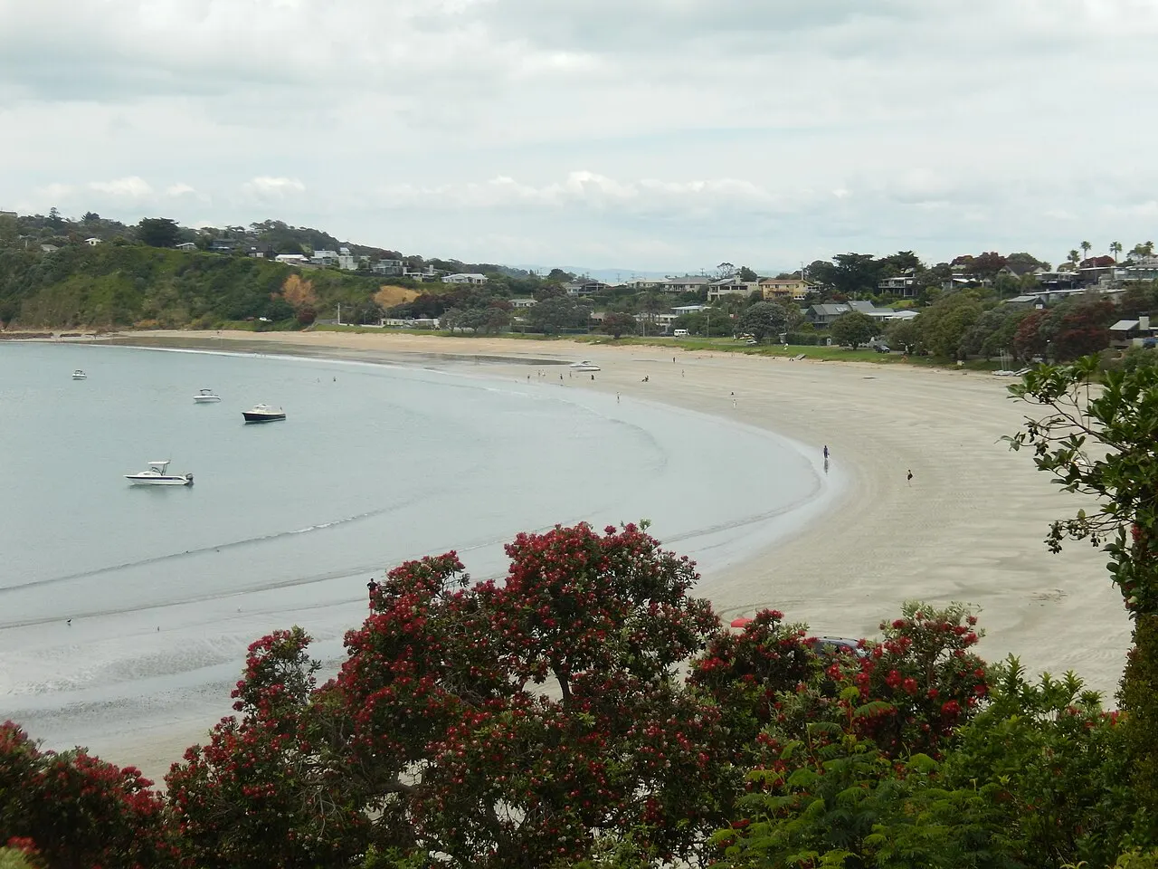 Praia de areia em curva na ilha de Waiheke, com casas no morro, dois barcos e flores vermelhas no primeiro plano.