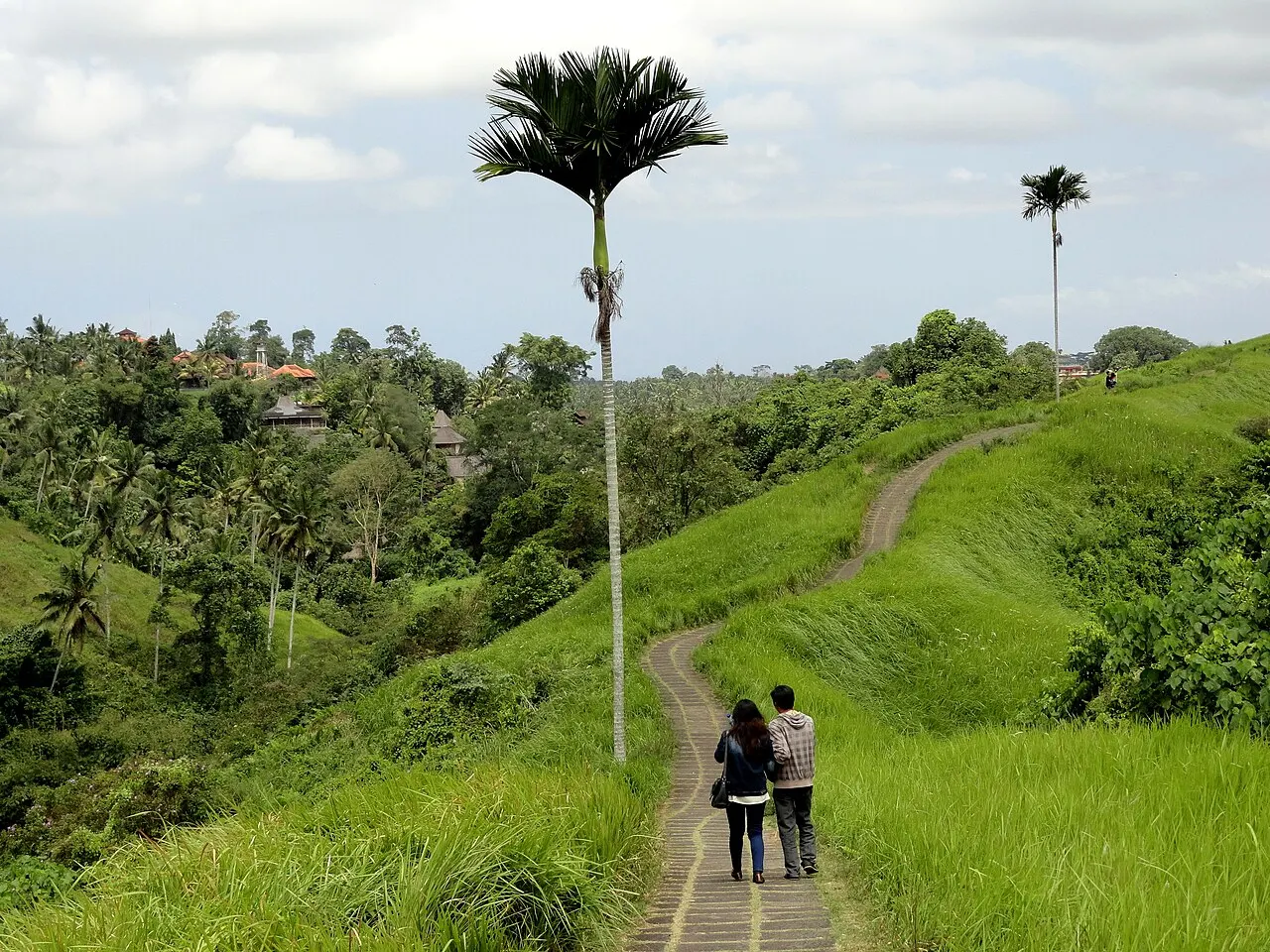 Trilha pavimentada serpenteando por colinas cobertas de grama verde, com palmeiras altas e duas pessoas caminhando ao longe sob um céu parcialmente nublado.