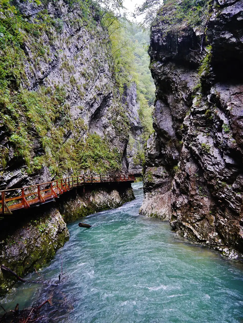 A garganta de Vintgar: paredes de rocha altas, o rio verde-turquesa correndo embaixo e uma passarela de madeira presa à pedra.