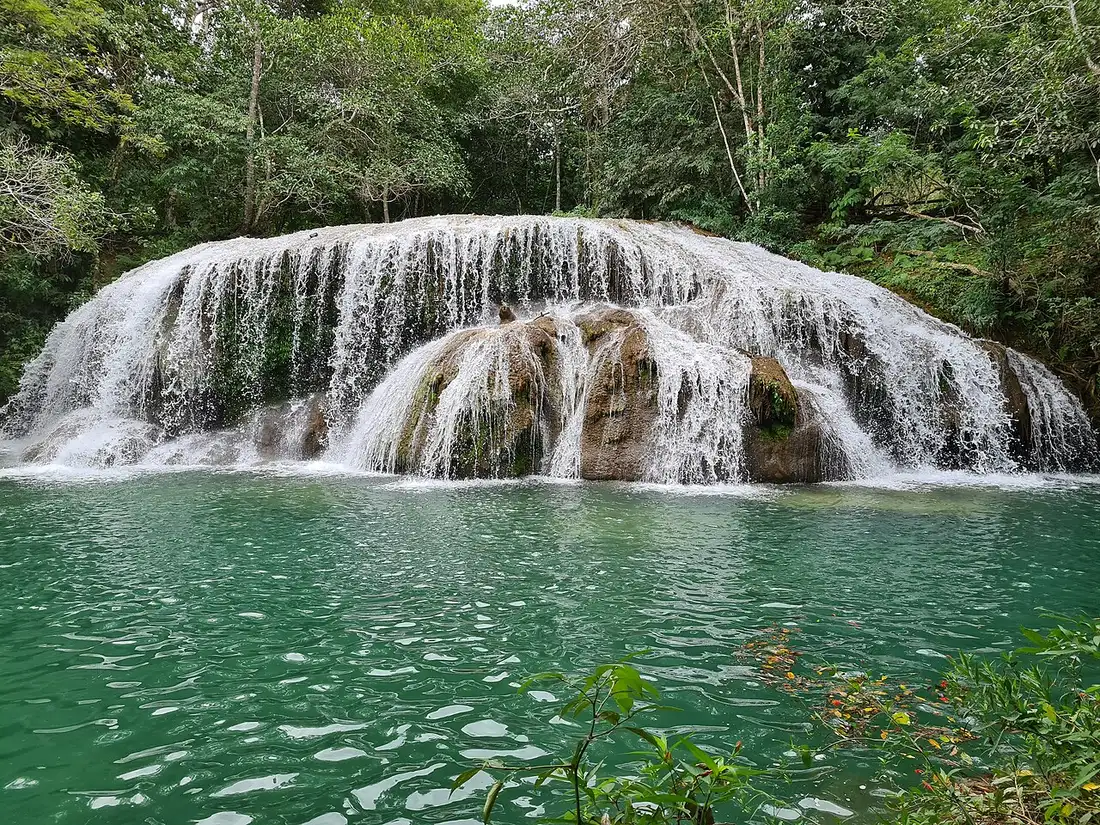 Uma cachoeira larga caindo sobre degraus de tufa calcária num poço de água verde, cercada de mata, na Estância Mimosa.