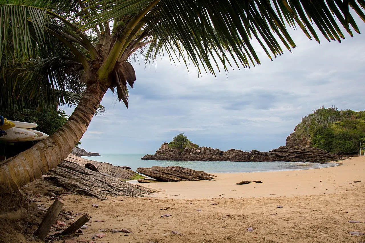 The sand of Praia da Ferradurinha seen from under a palm tree, with rocks in the sea behind.