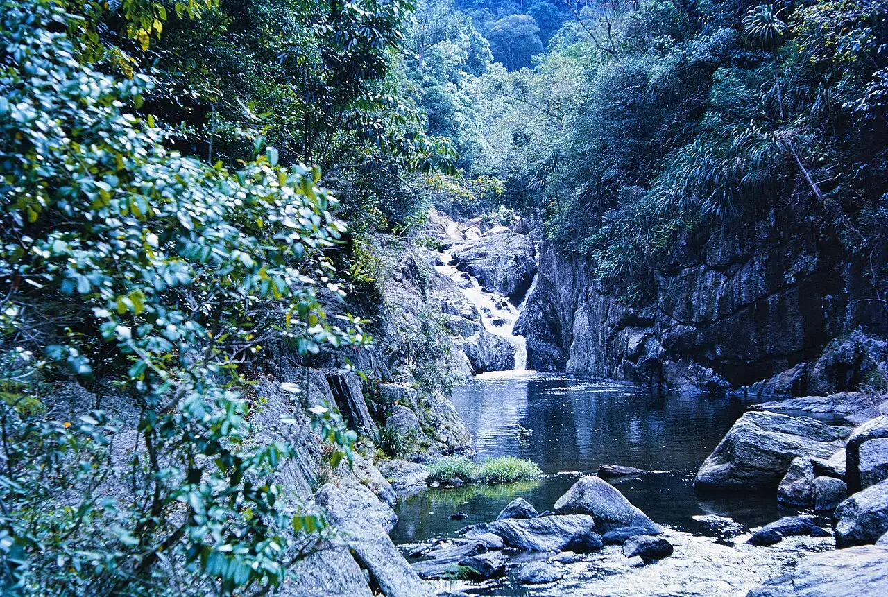 Água escura entre pedras e vegetação fechada, com uma queda pequena ao fundo.