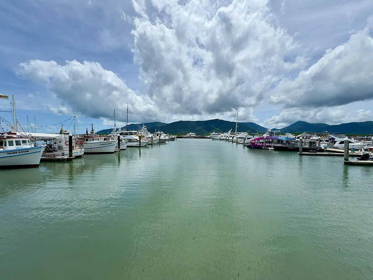 Bacia da Marlin Marina em Cairns, com barcos de pesca e catamarãs de excursão atracados nos dois lados dos pontões, água verde e calma no centro e a serra costeira azulada sob nuvens altas ao fundo.