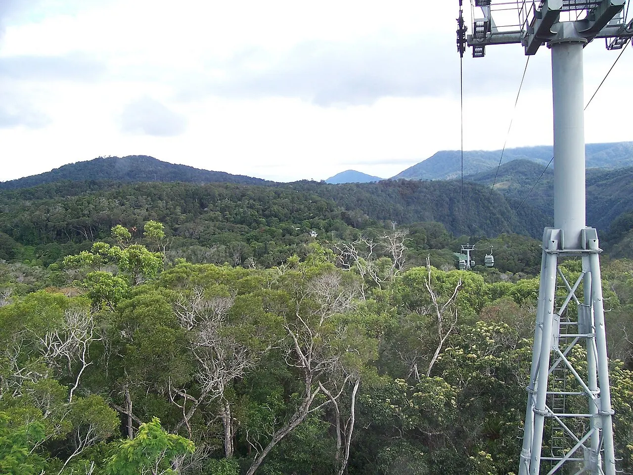 Uma torre metálica de teleférico sustentando cabos sobre uma floresta densa, com duas cabines suspensas ao longe passando sobre a copa das árvores e montanhas cobertas de mata ao fundo, sob céu nublado.