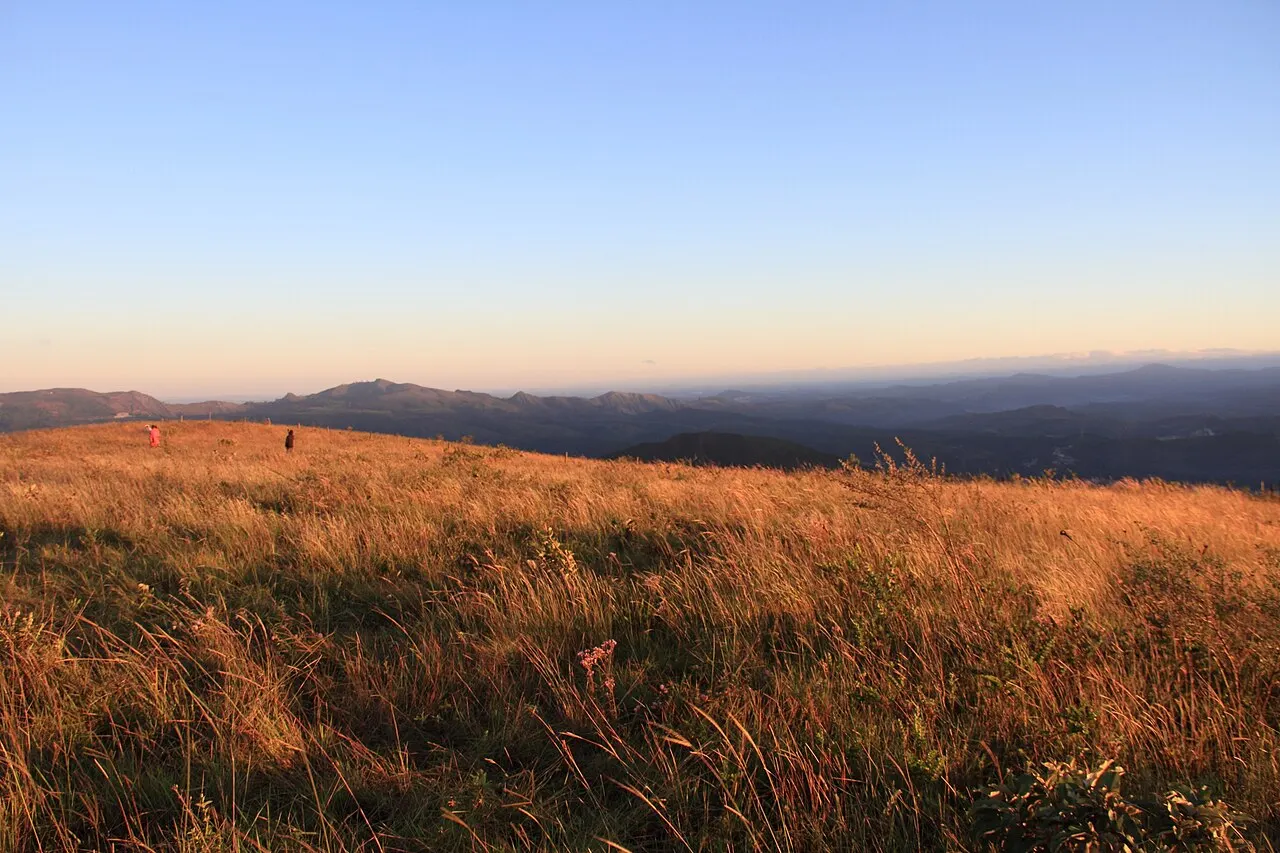 O capim dourado pela luz baixa no alto do Morro do Elefante, com as montanhas azuladas ao fundo.