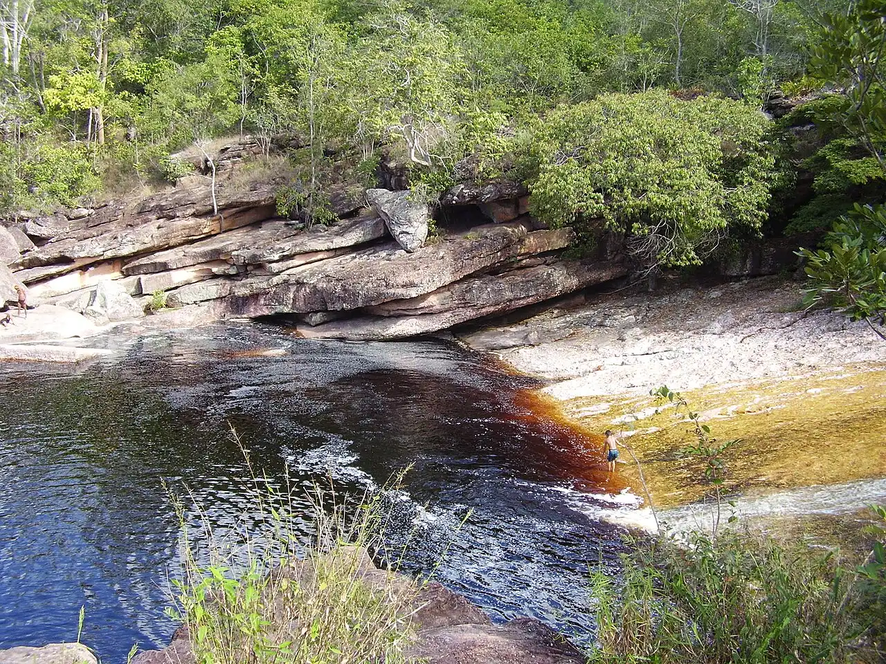 A água escura, cor de chá, descendo pela laje de pedra lisa do Ribeirão do Meio, entre a mata.