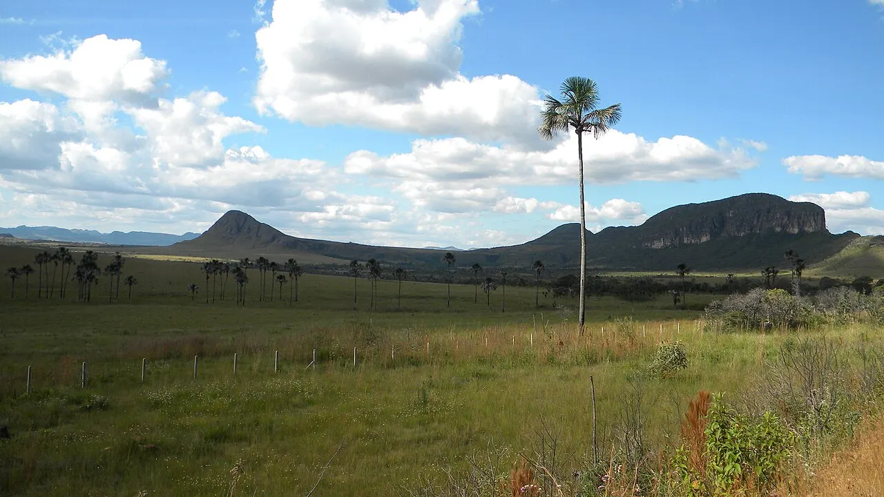 O campo aberto do Jardim de Maytrea, com uma palmeira solta e os morros de topo plano no horizonte, sob nuvens brancas.