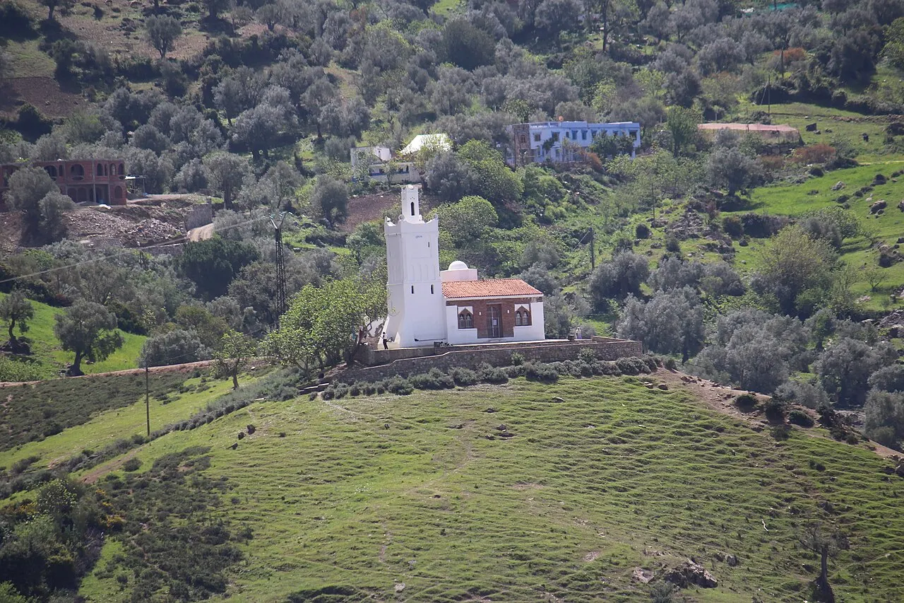 Petite mosquée blanche au minaret carré et au toit de tuiles, sur une plateforme au sommet d'une colline herbeuse, avec des oliviers et quelques maisons sur le versant derrière.