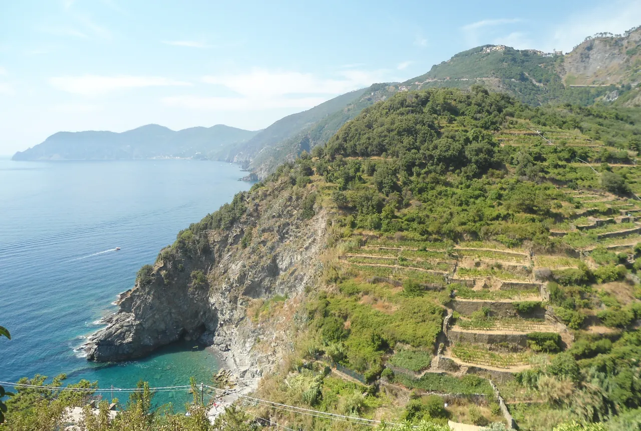 Falésias junto ao mar azul e vinhedos em terraços nas encostas de Corniglia, com um povoado no alto e um pequeno barco na água.