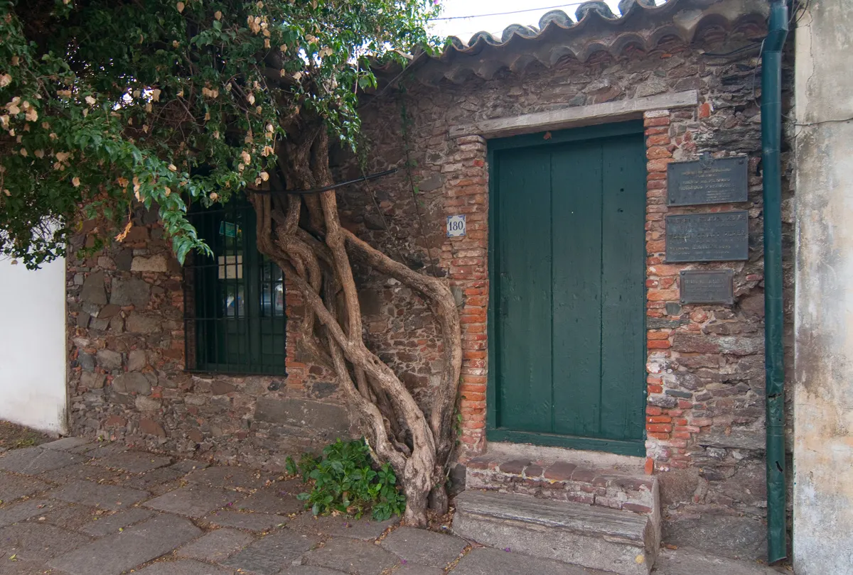 A fachada de pedra e tijolo do Museu Português, em Colonia del Sacramento, com uma porta e uma janela verdes e um tronco de trepadeira subindo pela parede.