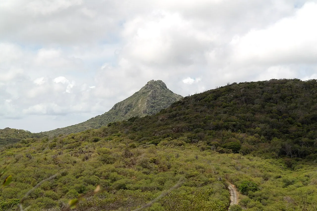 O pico pontudo do Christoffelberg acima das encostas cobertas de mato verde do Christoffelpark, sob céu nublado.