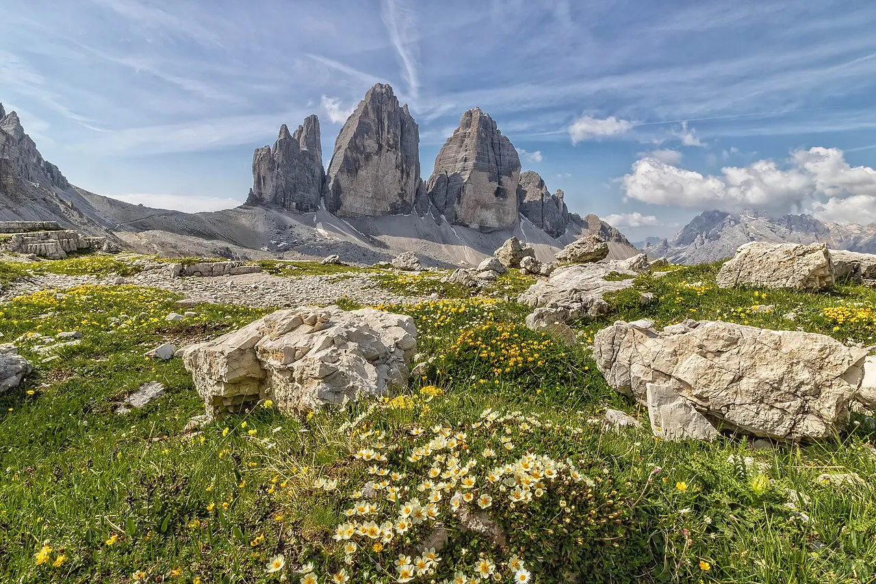 As três torres das Tre Cime di Lavaredo ao fundo, com um planalto de pedras e flores brancas e amarelas em primeiro plano.