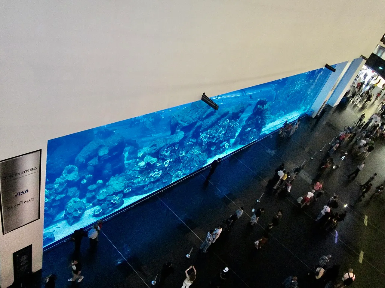 Grande painel de vidro azul com peixes e corais, visto de cima, com pessoas andando embaixo.