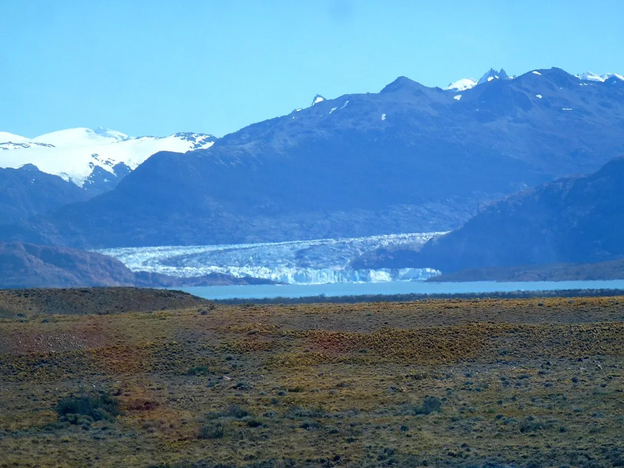 Estepa de vegetação rasteira em primeiro plano; ao fundo, a frente branca de uma geleira chega à água azul do lago, entre montanhas escuras e cumes nevados.