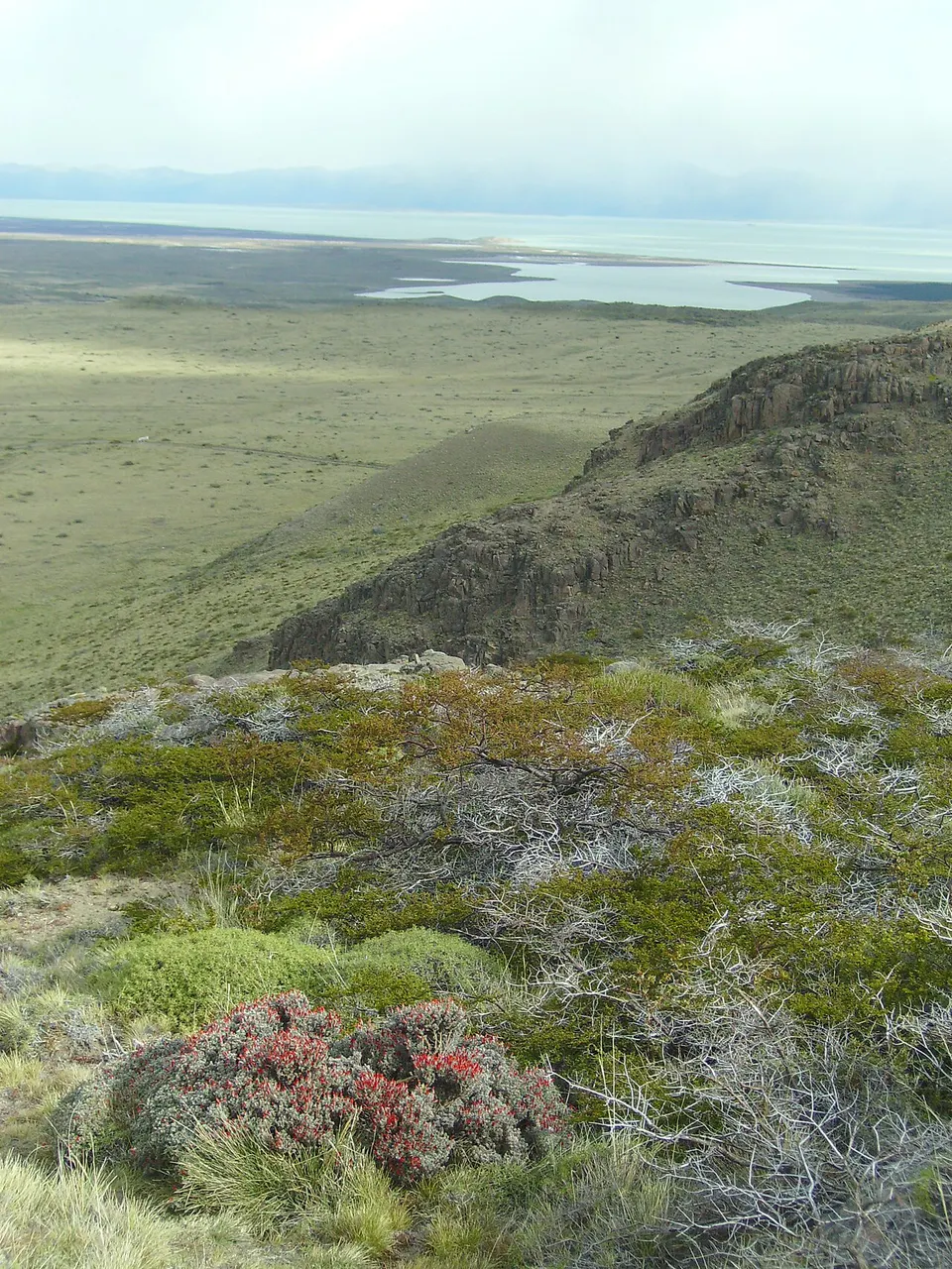 Arbustos baixos e vegetação de estepa em primeiro plano, uma crista rochosa à direita e, ao longe, a planície e as águas claras de um grande lago sob céu enevoado.