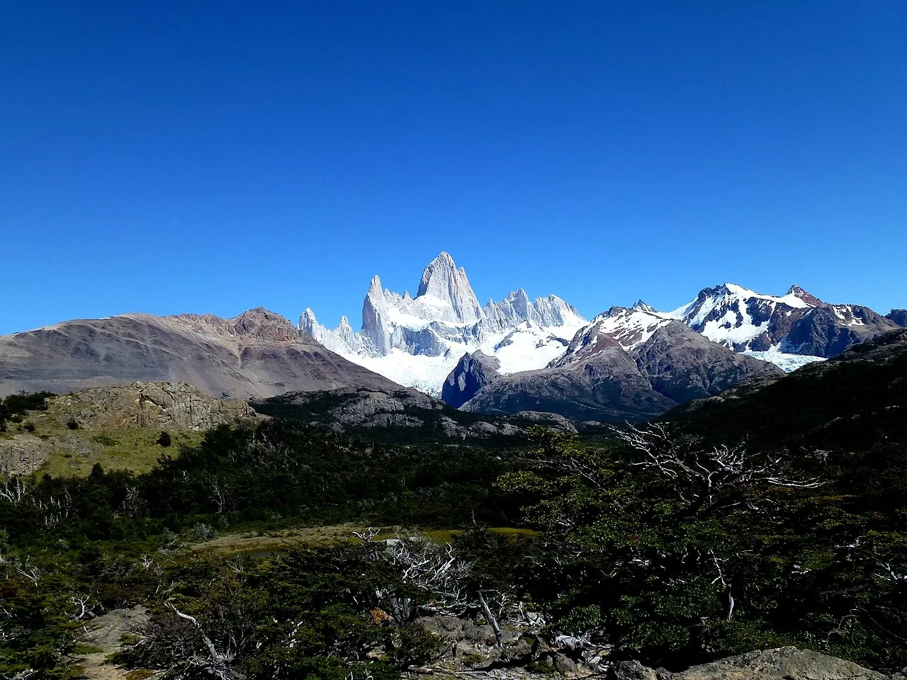 Vale coberto de bosque baixo e troncos secos em primeiro plano; ao fundo, o pico do Fitz Roy e outras montanhas nevadas sob céu azul sem nuvens.