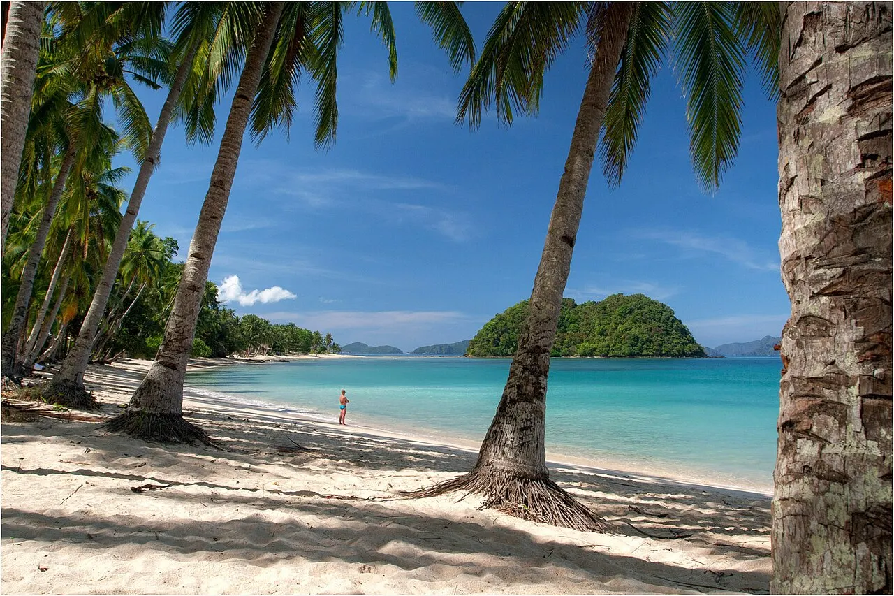 White sand in the shade of coconut palms, with one person standing at the edge of turquoise water and a forested islet ahead, under a blue sky.