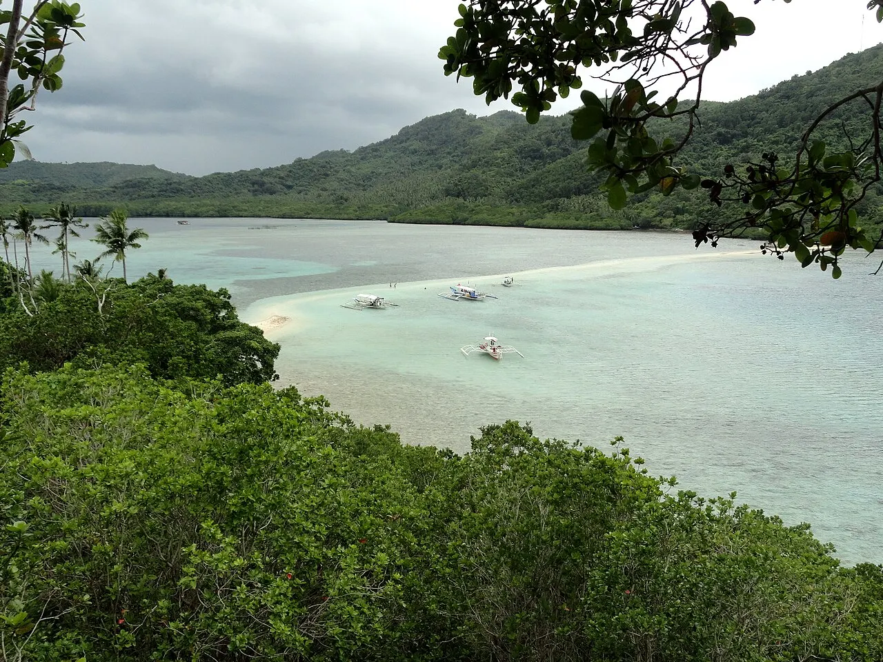View from above, through the trees, of a curving sandbar in clear shallow water, with wooden boats anchored beside it and forested hills under a cloudy sky.
