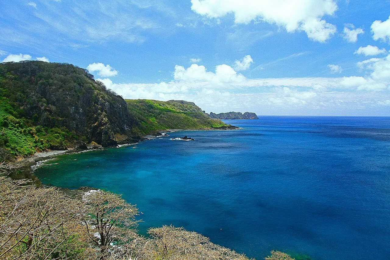 A Baía dos Golfinhos vista do mirante no alto, com mar azul-escuro, encostas verdes que descem até a água e vegetação seca em primeiro plano.