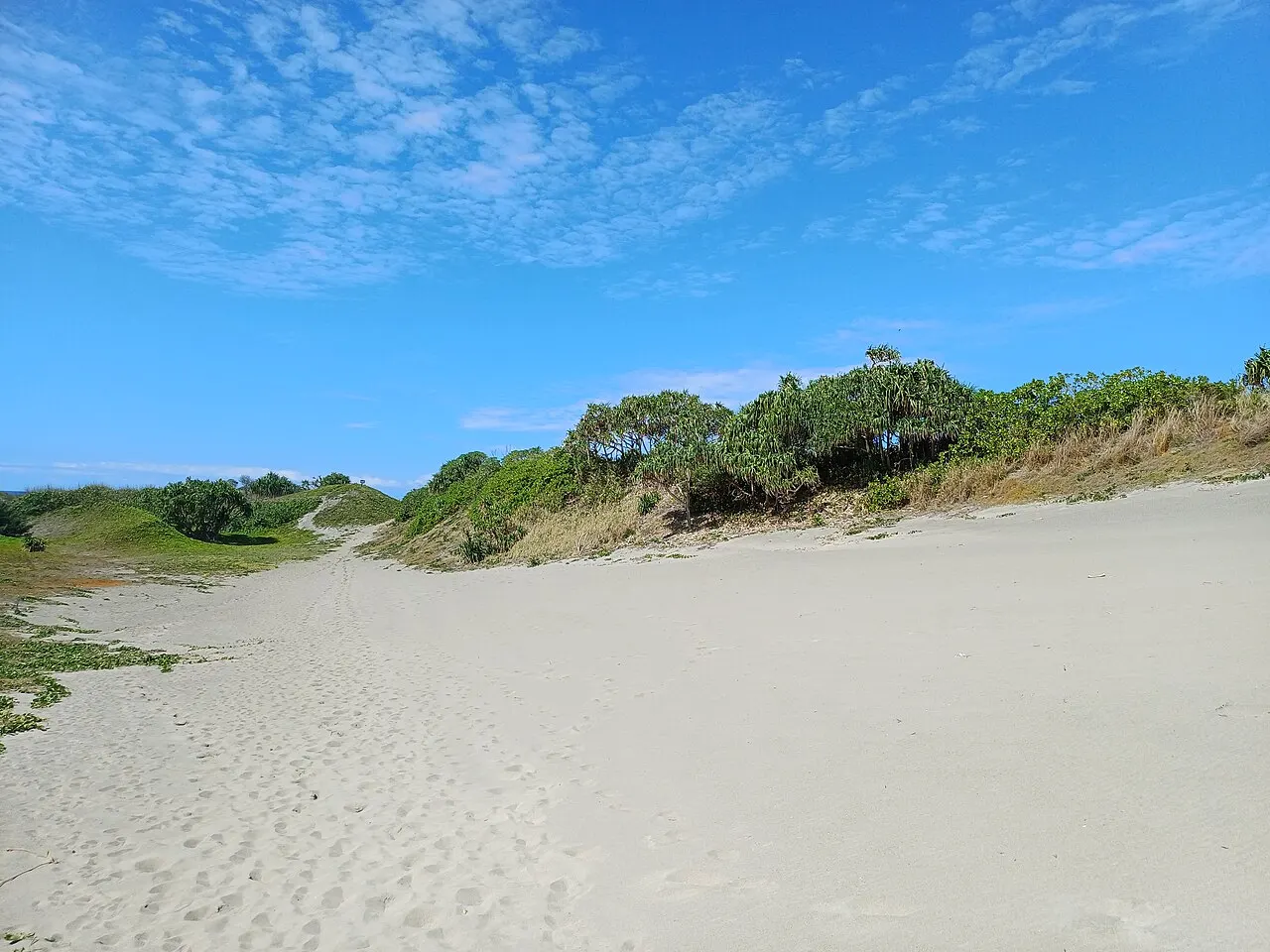 Une large bande de sable clair marquée de traces de pas entre des dunes couvertes d'herbe et d'arbustes, sous un ciel bleu aux nuages fins.