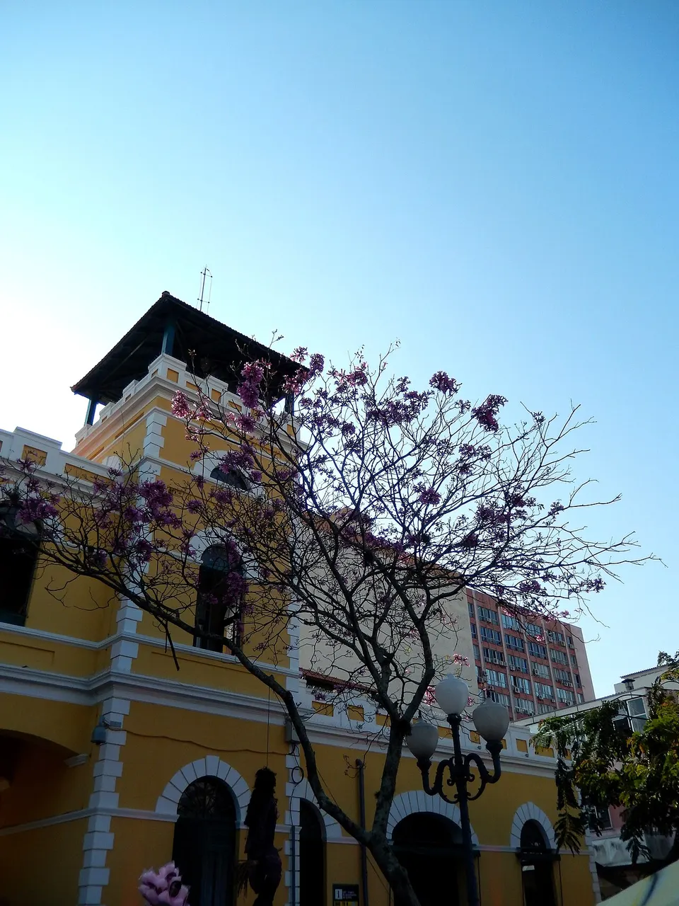 A fachada amarela e uma torre do Mercado Público de Florianópolis, atrás de uma árvore com flores arroxeadas e de um lampião, sob céu azul.
