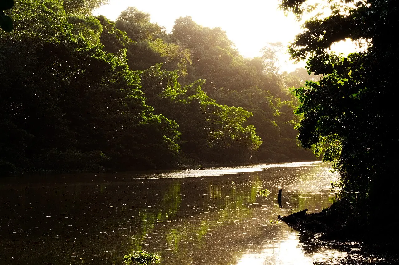 O rio Cocó correndo entre a mata fechada do parque, com a luz baixa do fim da tarde refletida na água.