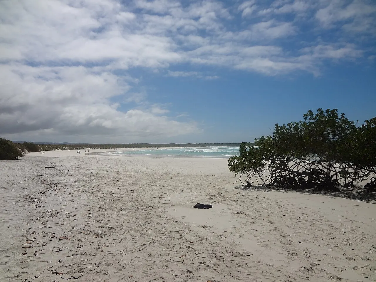 Uma extensa praia de areia branca, com um mangue de galhos retorcidos em primeiro plano, poucas pessoas caminhando ao longe e ondas quebrando na água azul turquesa, sob céu com nuvens esparsas.