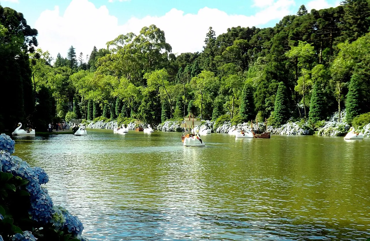 O Lago Negro, em Gramado, com pedalinhos em forma de cisne na água verde, mata densa na outra margem e hortênsias azuis em primeiro plano.