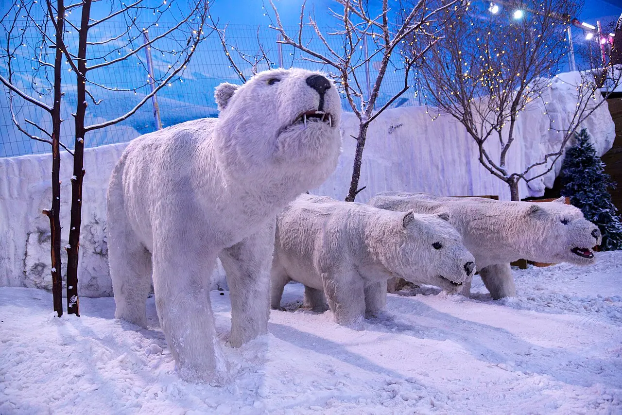 Tres esculturas de osos polares sobre nieve artificial, con árboles sin hojas y luces al fondo, dentro del parque cubierto Snowland, en Gramado.