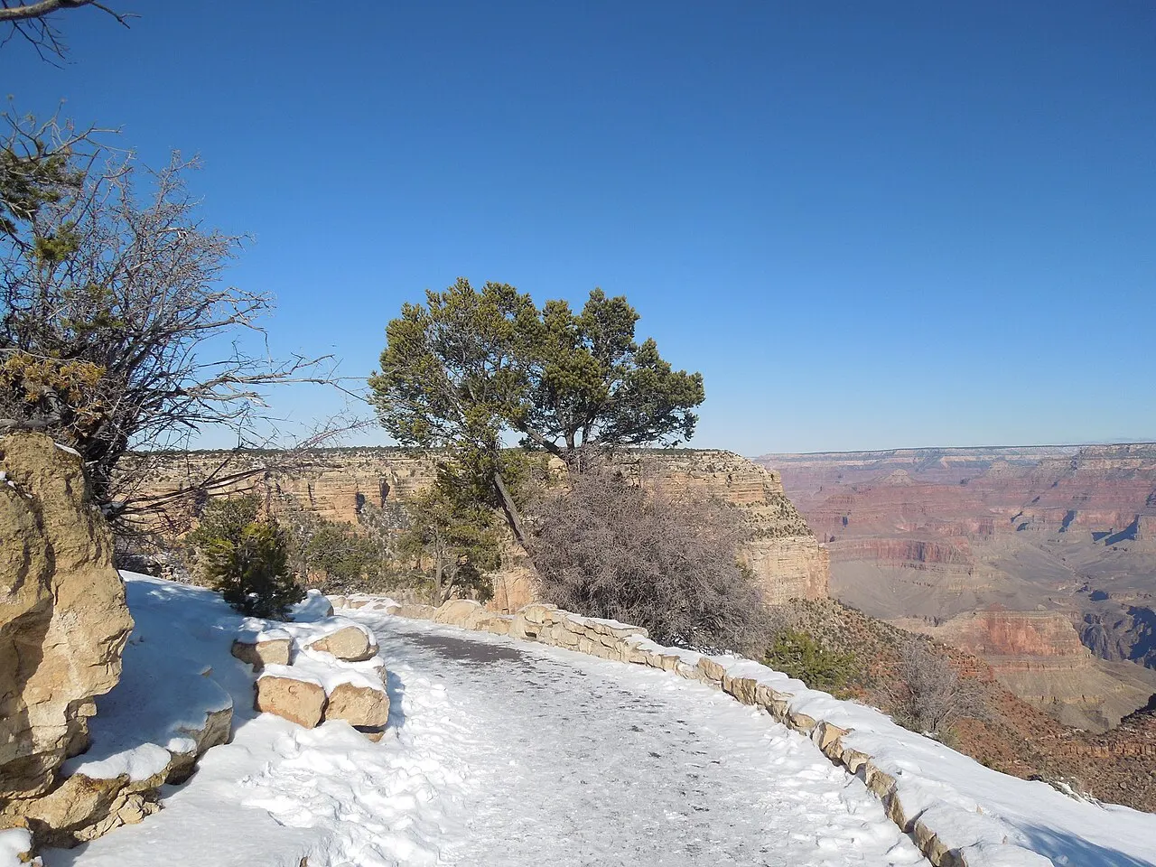 Trilha coberta de neve com mureta de pedra, árvores na borda e o cânion ao fundo, sob céu azul.