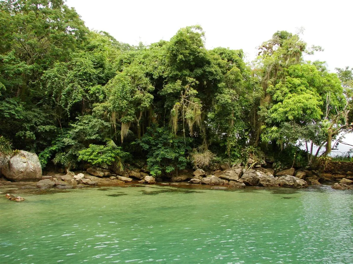 A água verde e calma da Lagoa Verde encostada nas pedras e na mata fechada da ilha.