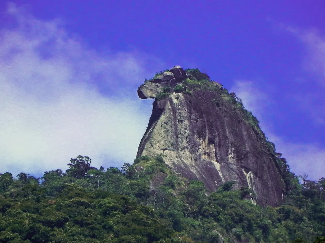 O paredão de pedra do Pico do Papagaio, com o topo em forma de bico, erguendo-se acima da mata.