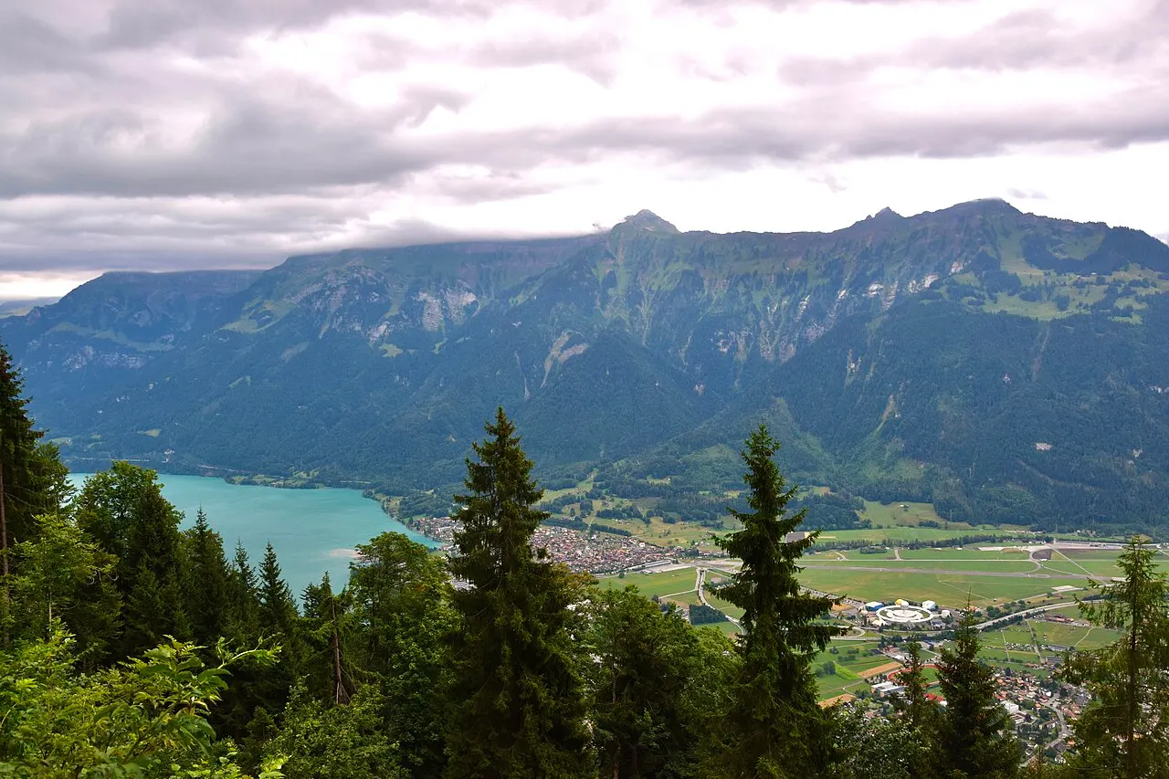 A vista do Harder Kulm: pinheiros em primeiro plano, o vale de Interlaken e o lago de Brienz turquesa entre as montanhas.
