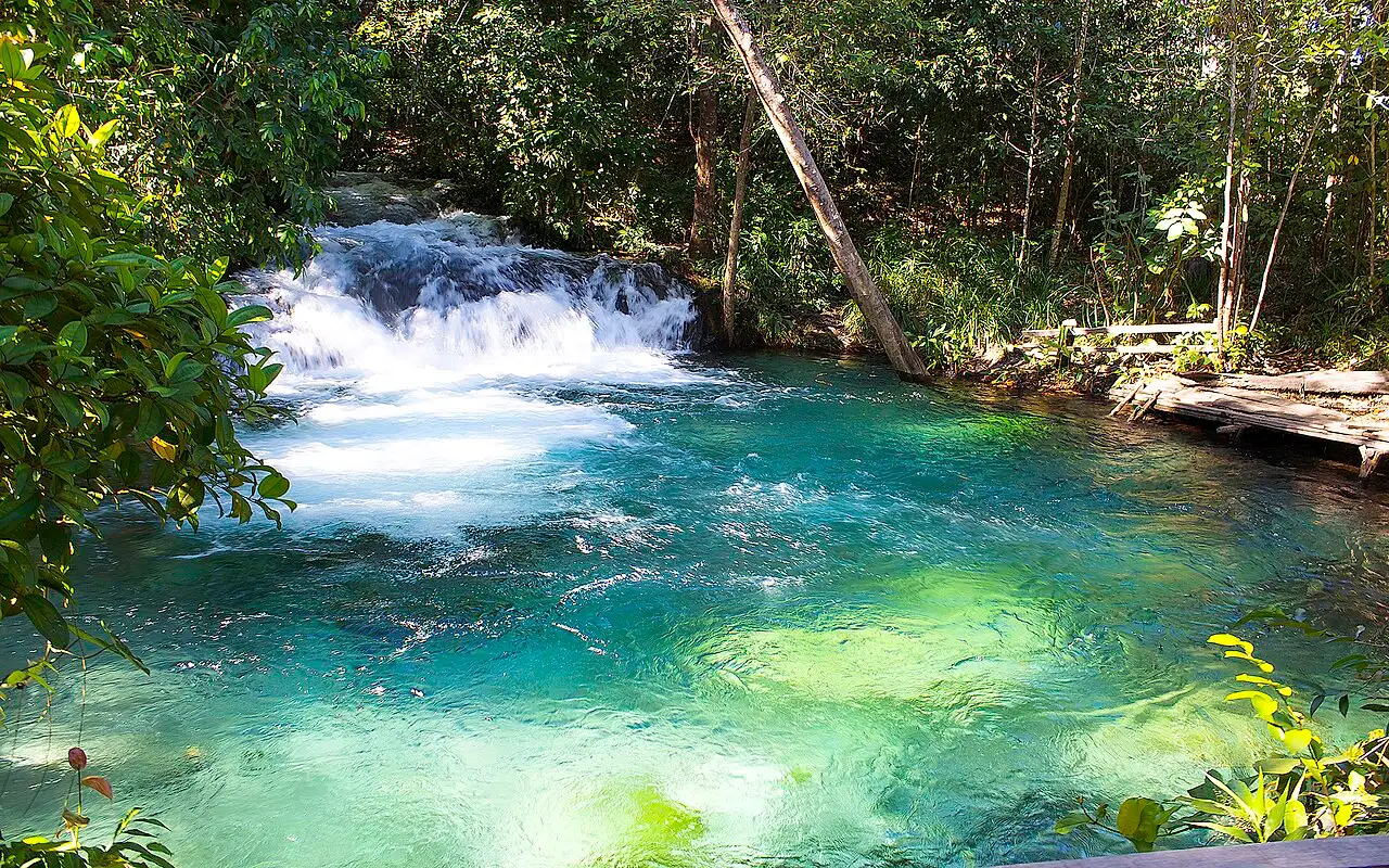 A pequena queda da Cachoeira do Formiga caindo num poço de água verde e transparente, cercado de mata.