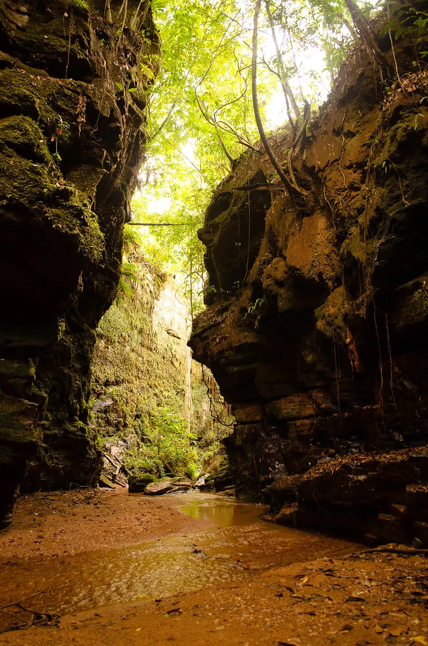 A fenda estreita do Cânion Sussuapara, com paredes de pedra cobertas de vegetação e o córrego no fundo.