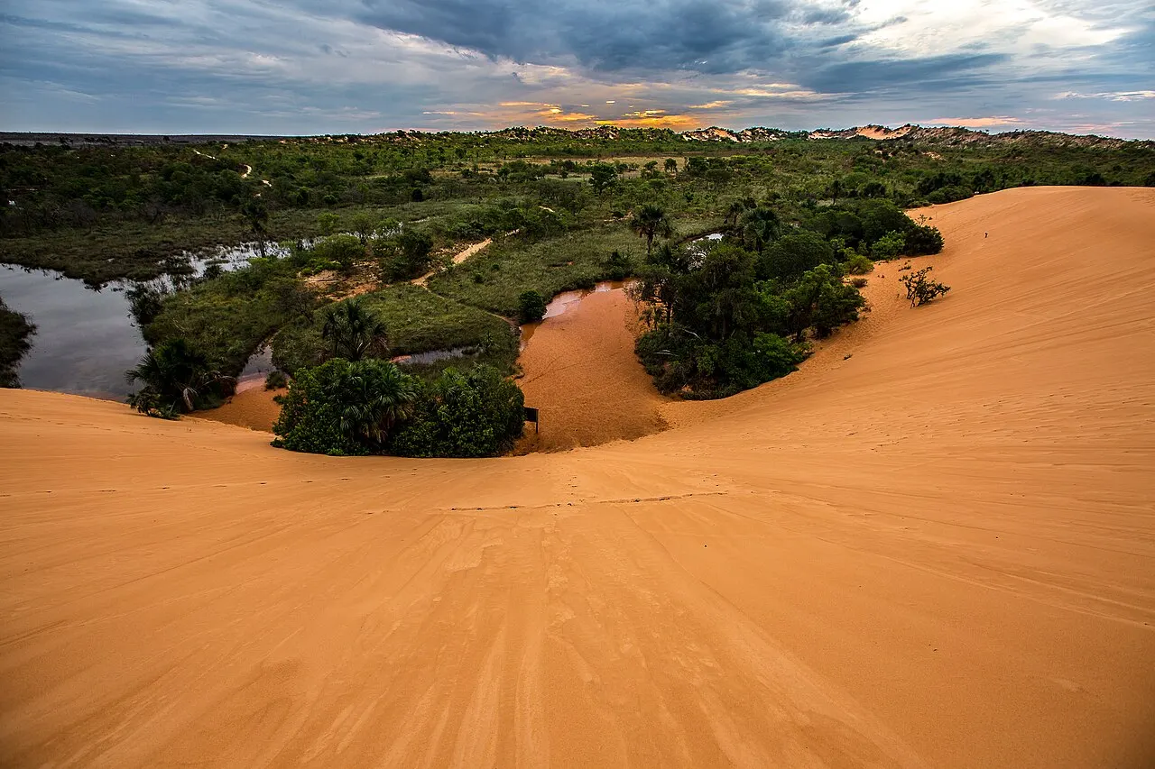 As dunas de areia alaranjada do Jalapão, com ilhas de vegetação verde e um curso d'água ao pé delas, sob a luz do fim da tarde.