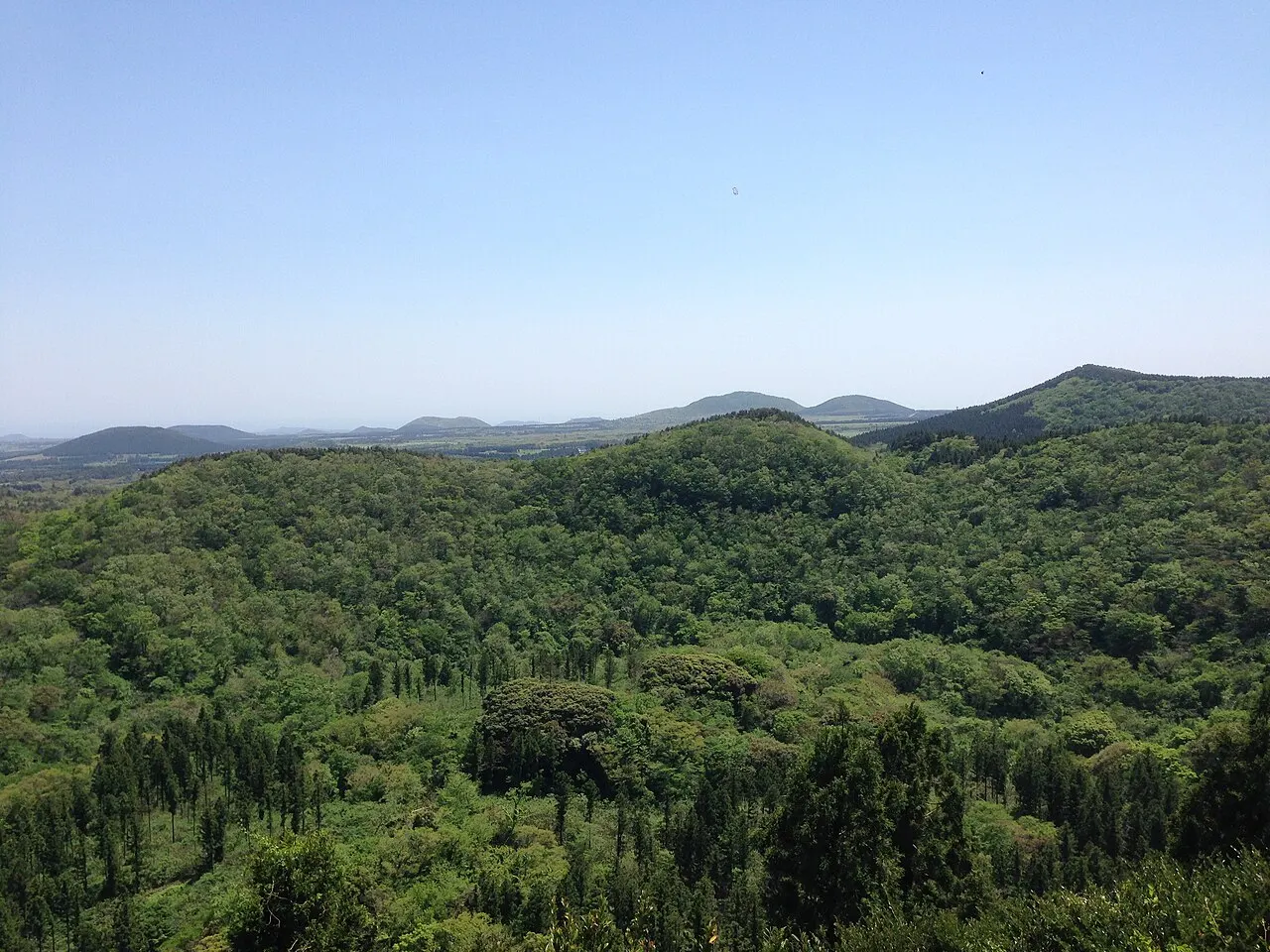 Colinas cubiertas de bosque denso en Geomunoreum, con otros conos volcánicos en el horizonte bajo el cielo despejado.