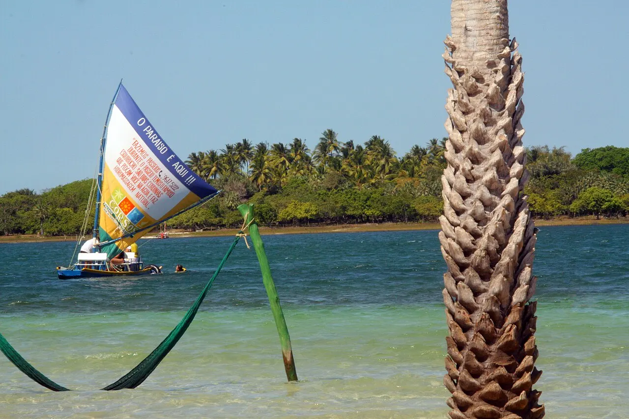 Redes armadas dentro da água rasa e verde da Lagoa do Paraíso, presas a um coqueiro, com uma jangada de vela colorida e coqueiros na margem.