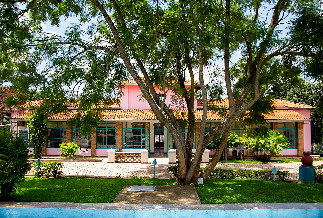 A pink single-storey house with a tiled roof and green-framed windows, behind a spreading tree, a lawn and a reflecting pool in the foreground.