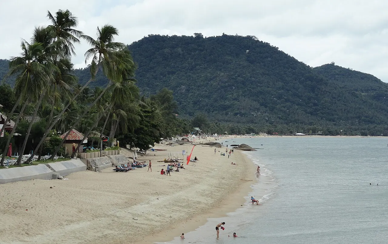 La plage de Lamai en courbe, avec des cocotiers penchés sur le sable, quelques personnes au bord de l'eau et une colline boisée au fond.