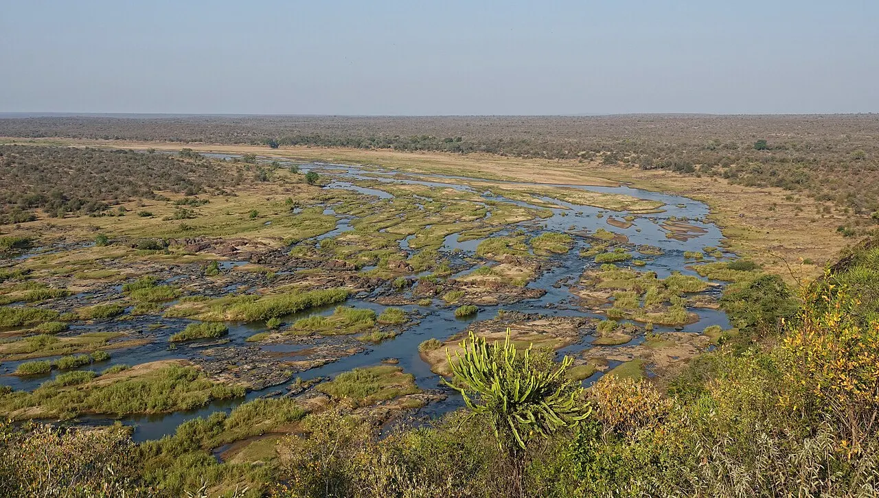 Vista desde lo alto de un río ancho y poco profundo que se divide en varios brazos entre islas de vegetación, con sabana llana hasta el horizonte y una planta suculenta en primer plano.