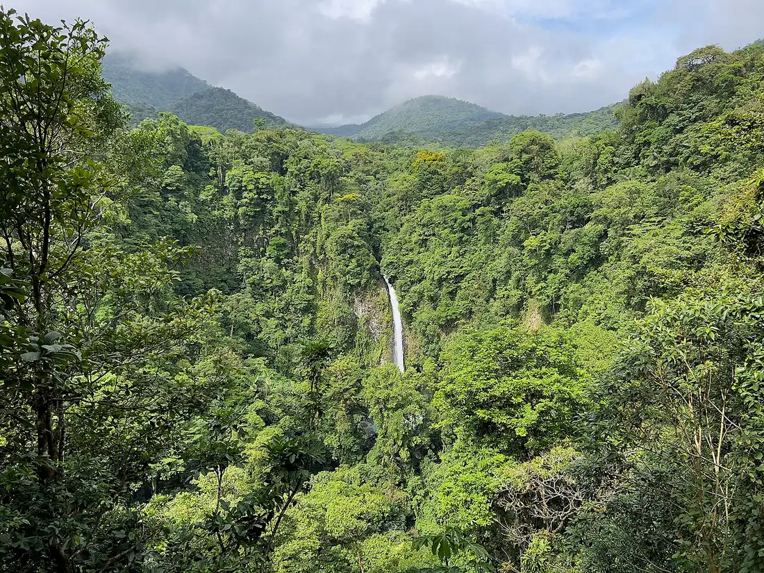 Uma queda d'água estreita e branca desce um paredão coberto de floresta tropical densa, com morros sob nuvens ao fundo.