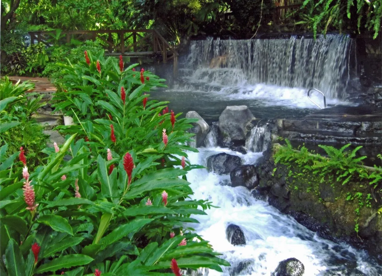 Uma cascata larga cai num poço e segue como corredeira entre pedras, com gengibres de flor vermelha e folhagem tropical em primeiro plano.