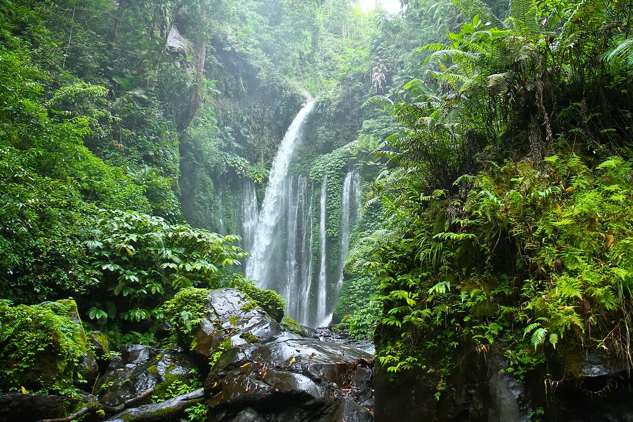 La cascade de Tiu Kelep, une chute principale et plusieurs filets d'eau sur une paroi verte, entourée de fougères, d'arbres et de rochers couverts de mousse.