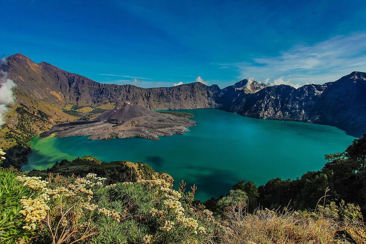 Le lac Segara Anak, vert-bleu, dans la caldeira du Rinjani, avec un cône de lave sombre sur la rive, de hautes parois rocheuses autour et des fleurs blanches au premier plan.